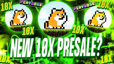 WHY I THINK PLAYDOGE HAS POTENTIAL!🚨 (PlayDoge Presale Review)