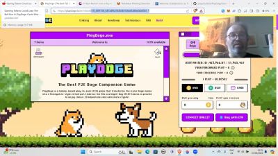 Is PlayDoge the next big presale scam?