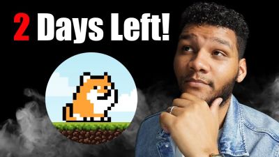 2 Days Left!!! PlayDoge Token Presale Price Is About To Spike!!! $3,000,000 Raised!