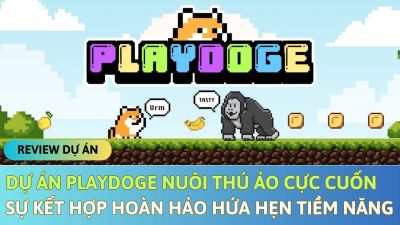 Extremely Interesting Virtual Pet PlayDoge Project - A Perfect Combination that Promises Great Potential