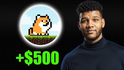 WOW!!! I Liked This Presale So Much I Bought $500 Worth! (PLAYDOGE Token)